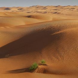 Jour 1 - Tataouine – Dakanus - 140 km de pistes et de off-road – 8h de conduite