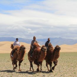 Oulan-Bator – Mini Gobi