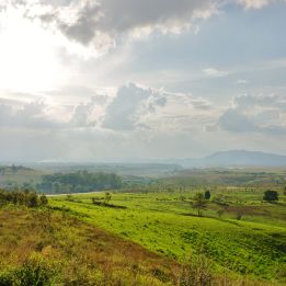 Jour 10 - Chiang Khong - Chiang Kham - 150 km