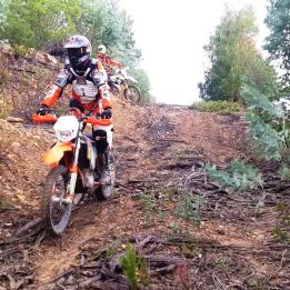 Vila do Bispo - São Bartolomeu de Messines