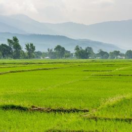 Jour 2 - Patan – Chitwan - 200 Km de route - 6h de conduite