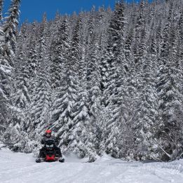 Charlevoix - Montréal