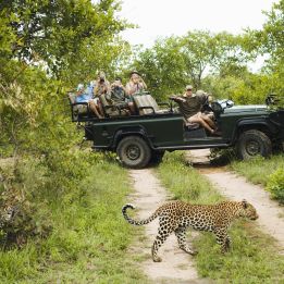 and day 4: Kruger - Marloth Park