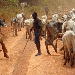 Grand Bassam - Adzopé