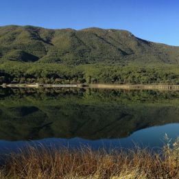 Aéroport de Ioannina
