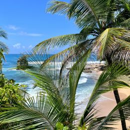 San Gerardo de Dota - Puerto Viejo de Talamanca