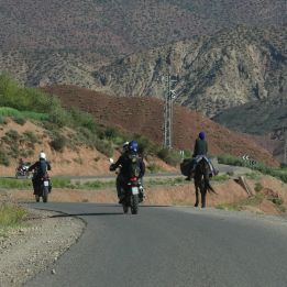 Chefchaouen - Meknès