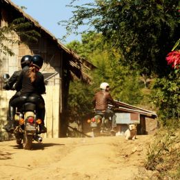 Jour 5 - Doi Ang Khang - Golden Triangle - 190 km