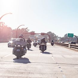 Whitefish - Anaconda