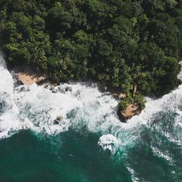 Jour 8 et 9 - Puerto Viejo