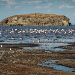 Jour 7 : Lac Manyara – Lac Eyasi - 130 km