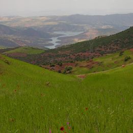 Ouarzazate - Demnate