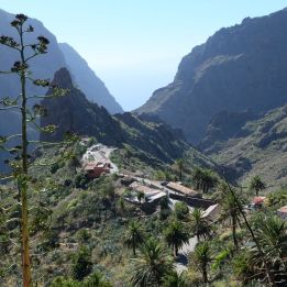 Jour 6 – Pescia Massa – 242 km