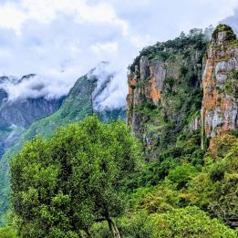Jour 7 : - Kodaikanal - Palakkad - 200 Km de route – 7h de voyage
