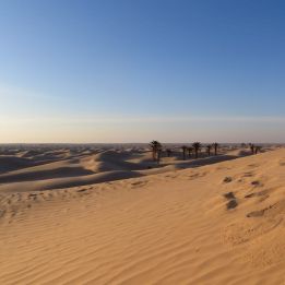 Ksar Ghilane - Douz dont 20 km off - road