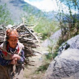 <b>Jour 13 - Delhi - Départ - [À préciser] km</b>