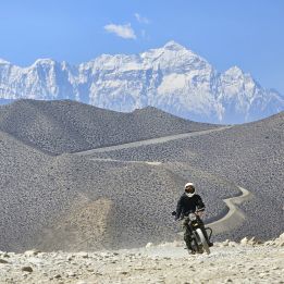 Ghami - Muktinath
