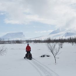 Muonio - Sonkamuotka - Parc national de Pallas Tunturi