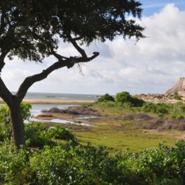 Jour 10 : - Uda Walawe - Matara - 95 km de routes – 3h de conduite