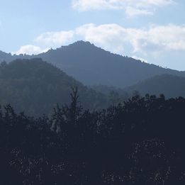 Saint - Florent - Corte - Zonza