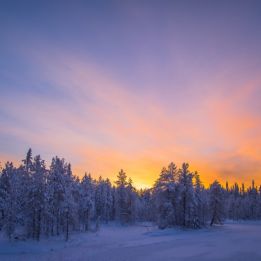 Hirvasvuopio - Kilpisjärvi - Saarikoski