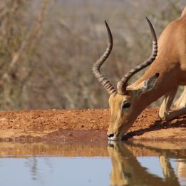 Helmeringhausen - Sesriem