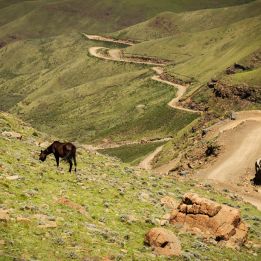 Golden Gate Highlands – Roma