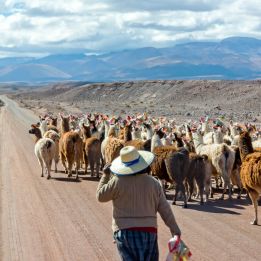 San Pedro - San Antonio de los Cobres