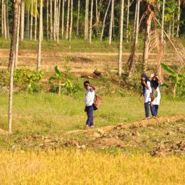 Jour 4 - Periyar – Munnar - 90 km
