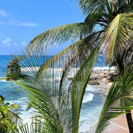 San Gerardo de Dota - Puerto Viejo de Talamanca