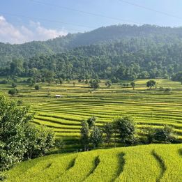 Chitwan - Tansen