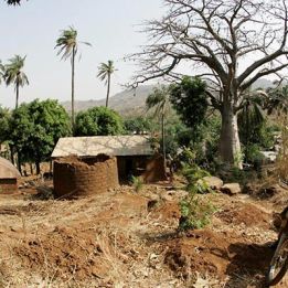 Tandjouaré - Nadoba