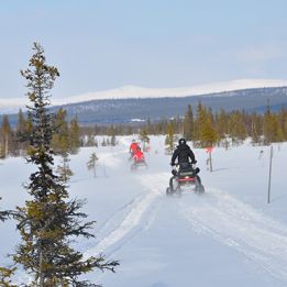 Sonkamuotka - Lannavaara