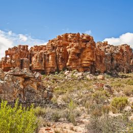 Karoo - Montagnes du Cederberg