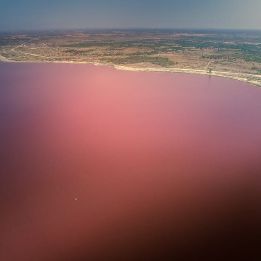 Langue de Barbarie - Lac Rose