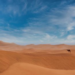 Zagora - Erg Chegaga