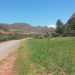 Boumalne - Tazzarine