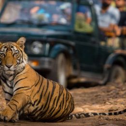 Jour 10 : - Bundi - Ranthambore - 125 km de route – 4h de conduite
