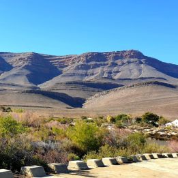 Richtersveld - Springbok