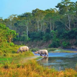 Jour 3 - Chitwan (230m) - safari (optionnel) dans le parc