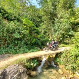 Vu Linh - Hoang Su Phi