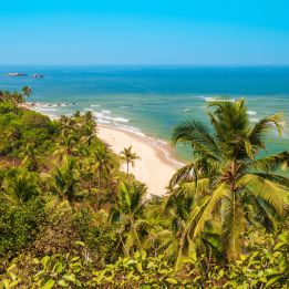 Jour 8 - Matthuga - Palolem - 200 km