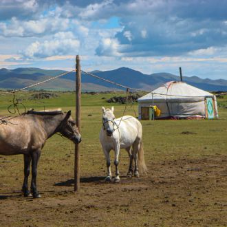 Les Routes oubliées de Gobi gallery image 2