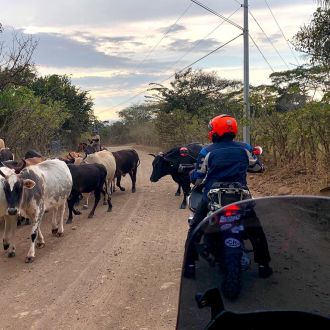 Product Gallery Image