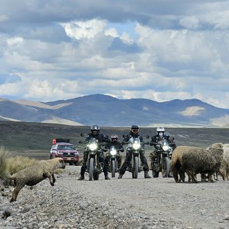 Product Gallery Image