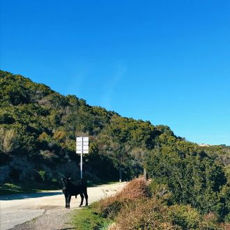 Sur les routes des hameaux corses gallery image 3