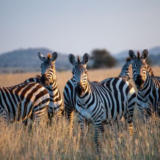 Les grands royaumes d'Afrique australe gallery image 1