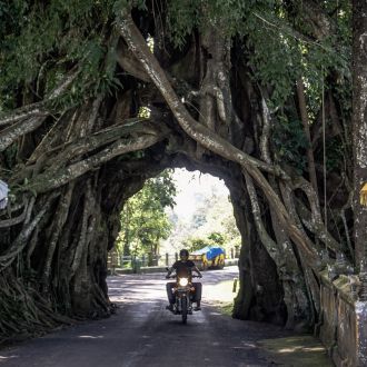 Des volcans de Java aux rizières de Bali à moto gallery image 3