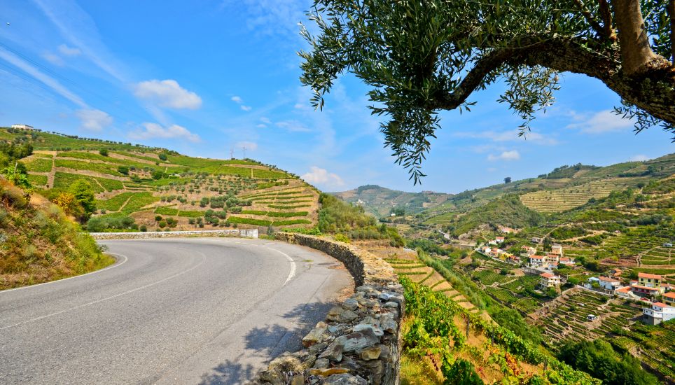 Escapade au cœur de la vallée du Douro