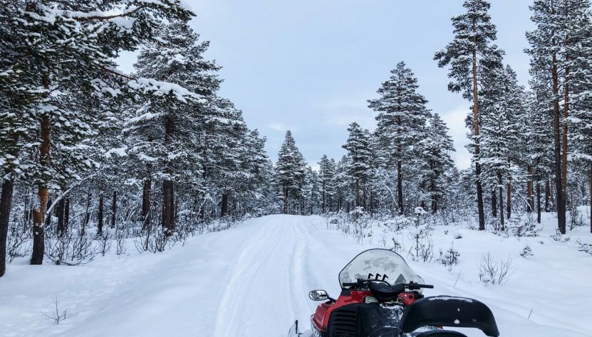 Sous les aurores du nord suédois